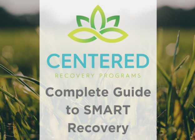 Complete Guide SMART Recovery